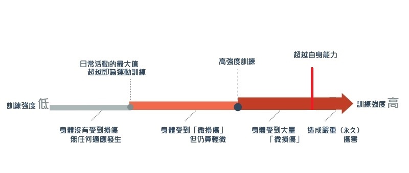 说球帝 svg+xml,%3Csvg%20xmlns=&